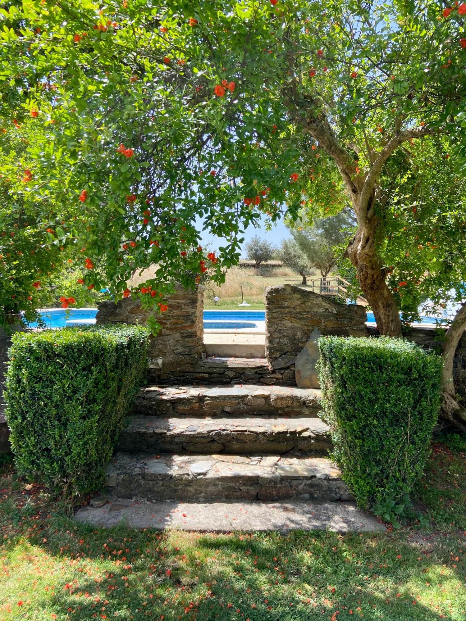 Quinta Alfaval Vendégház Redondo Kültér fotó