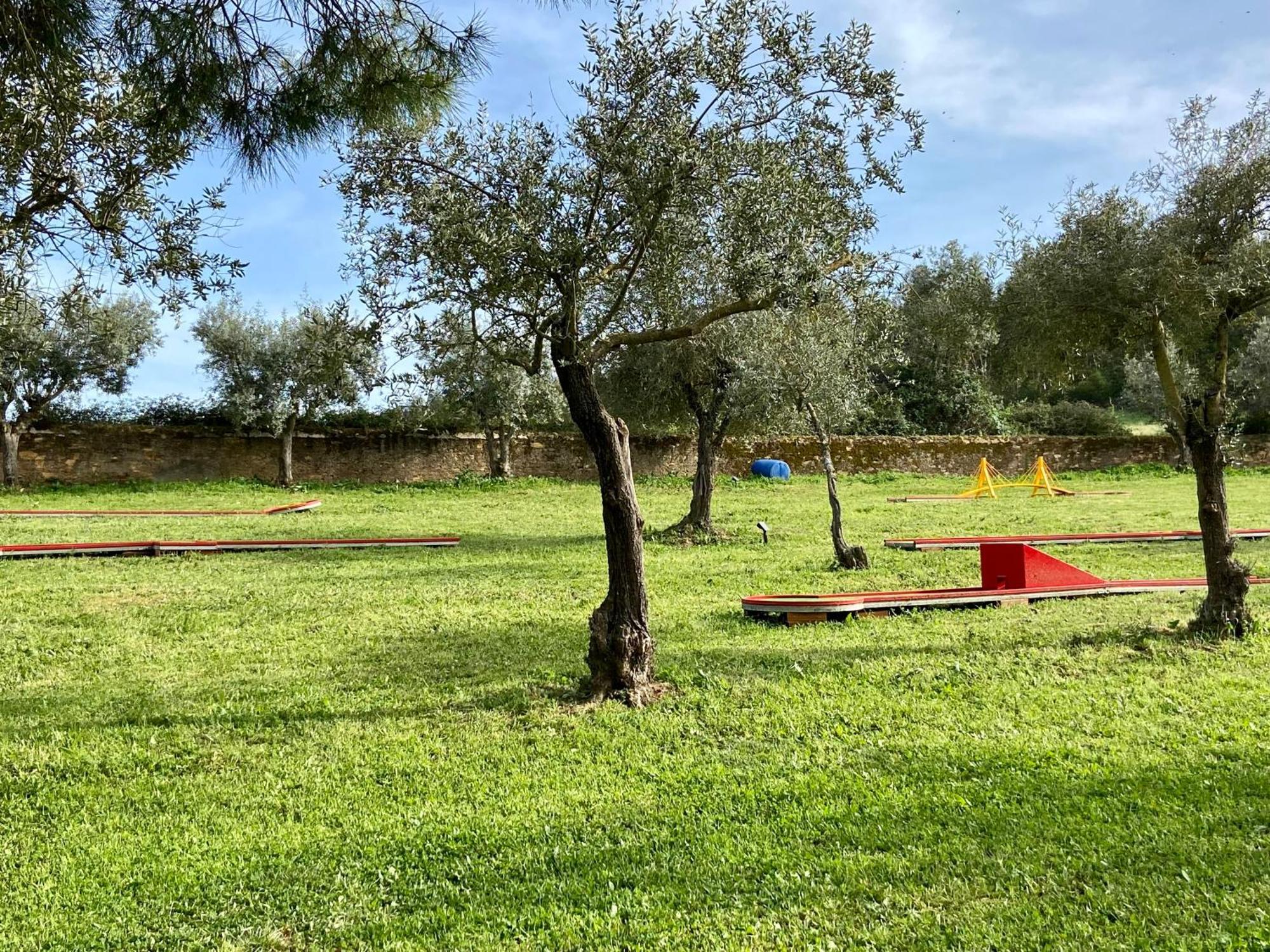 Quinta Alfaval Vendégház Redondo Kültér fotó